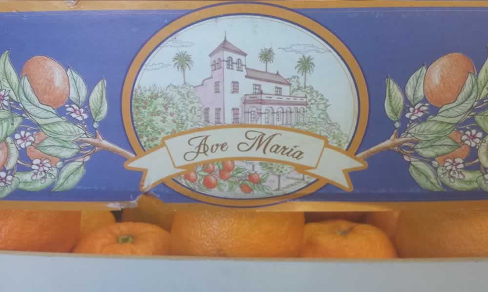 Ava Maria Serille Orange Marmalade